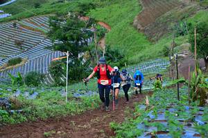 BIB: 
                            <button type="button" onclick="openModal(13382963)" class="btn btn-primary btn-sm float-right btn-popup" data-toggle="modal" data-target=".modal-high-quality">
                        <i class="fas fa-shopping-cart"></i> Add to Cart
                    </button>
                                            <button type="button" onclick="isThisMe(13382963, true)" class="btn btn-success btn-sm float-right btn-popup btn-isme hidden" data-toggle="tooltip" data-placement="bottom" title="นี่คือรูปของคุณใช่ไหม คลิกที่นี่เพื่อเอาเข้าอัลบั้ม">
                        <i class="fas fa-plus"></i> Add to album
                    </button>
                    <button type="button" onclick="isThisMe(13382963, false)" class="btn btn-warning btn-sm float-right btn-popup btn-isnotme hidden">
                        <i class="fas fa-ban"></i> Remove from album
                    </button>